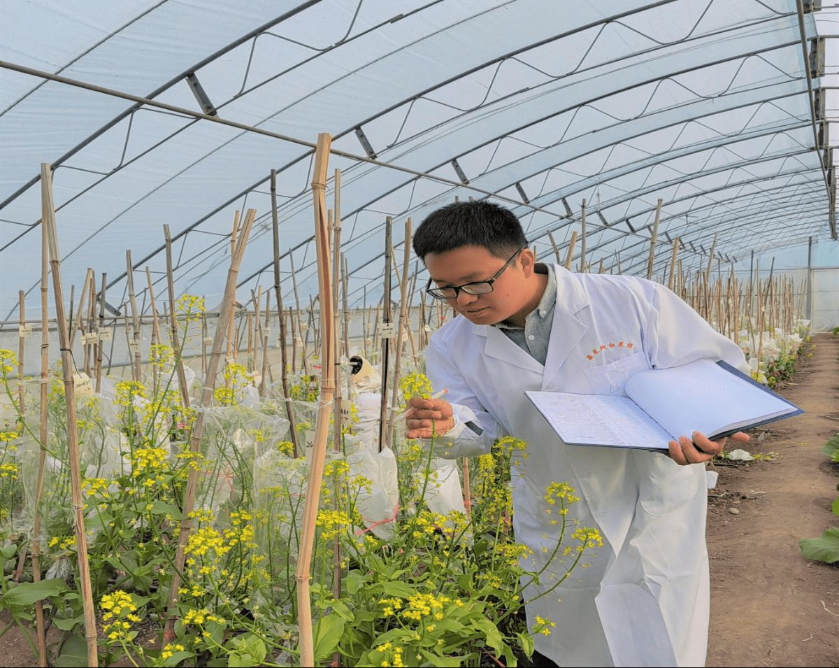 植保专家杜希光：把农业科技推广到田间地头